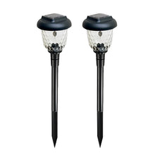 Indlæs billede til gallerivisning Saker Color-Changing Solar Landscape Lights (2PCS)
